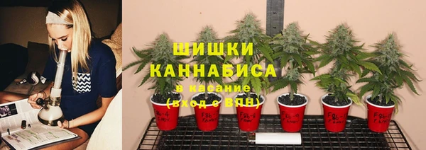 эйфоретик Армянск